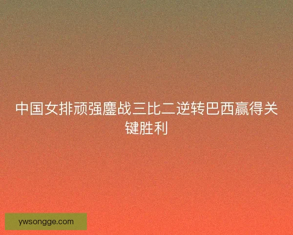 中国女排顽强鏖战三比二逆转巴西赢得关键胜利 中国女排顽强鏖战三比二逆转巴西赢得关键胜利
