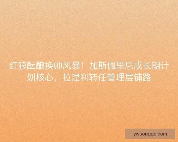 红狼酝酿换帅风暴！加斯佩里尼成长期计划核心，拉涅利转任管理层铺路