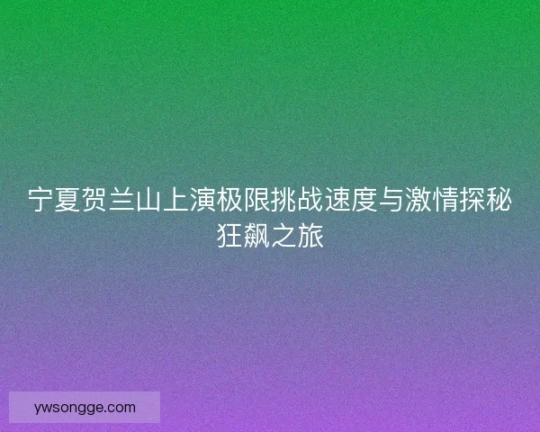 宁夏贺兰山上演极限挑战速度与激情探秘狂飙之旅