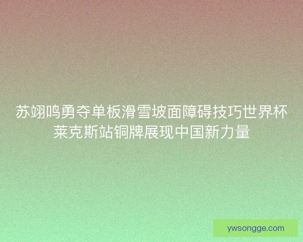 苏翊鸣勇夺单板滑雪坡面障碍技巧世界杯莱克斯站铜牌展现中国新力量 苏翊鸣勇夺单板滑雪坡面障碍技巧世界杯莱克斯站铜牌展现中国新力量